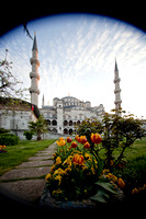 Blue Mosque - Sultan Ahmed Mosque