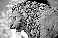 Lion of the Loggia of Lanzi