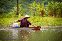 Fisherman, Perfume River