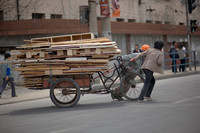 hauling wood